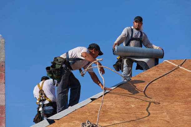 Best Roof Gutter Cleaning  in Cairo, GA